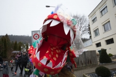 EVU_Fasnacht_2017-3825_jpg