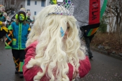 EVU_Fasnacht_2017-3864_jpg